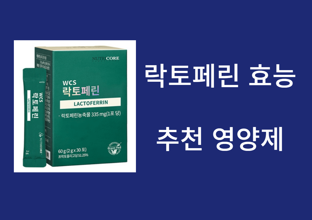 락토페린 효능 및 복부 다이어트 영양제 추천