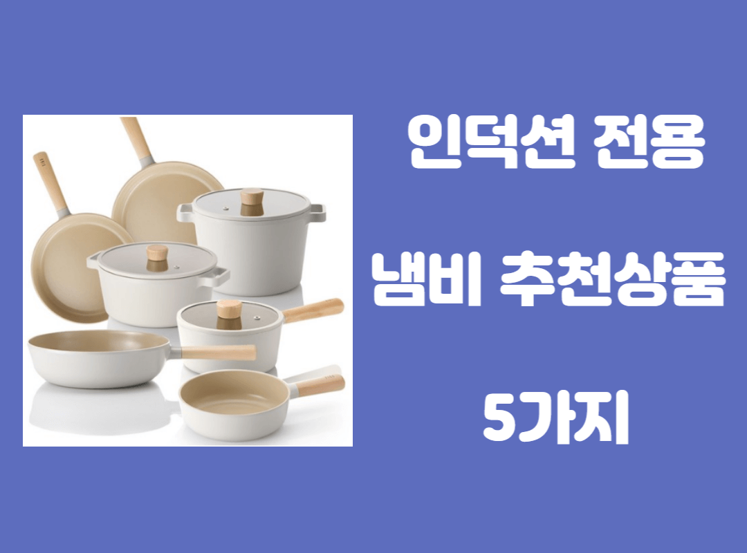 인덕션 전용 냄비 추천